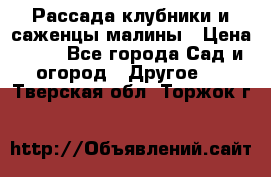 Рассада клубники и саженцы малины › Цена ­ 10 - Все города Сад и огород » Другое   . Тверская обл.,Торжок г.